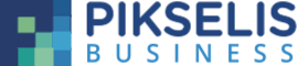 Pikselis Business